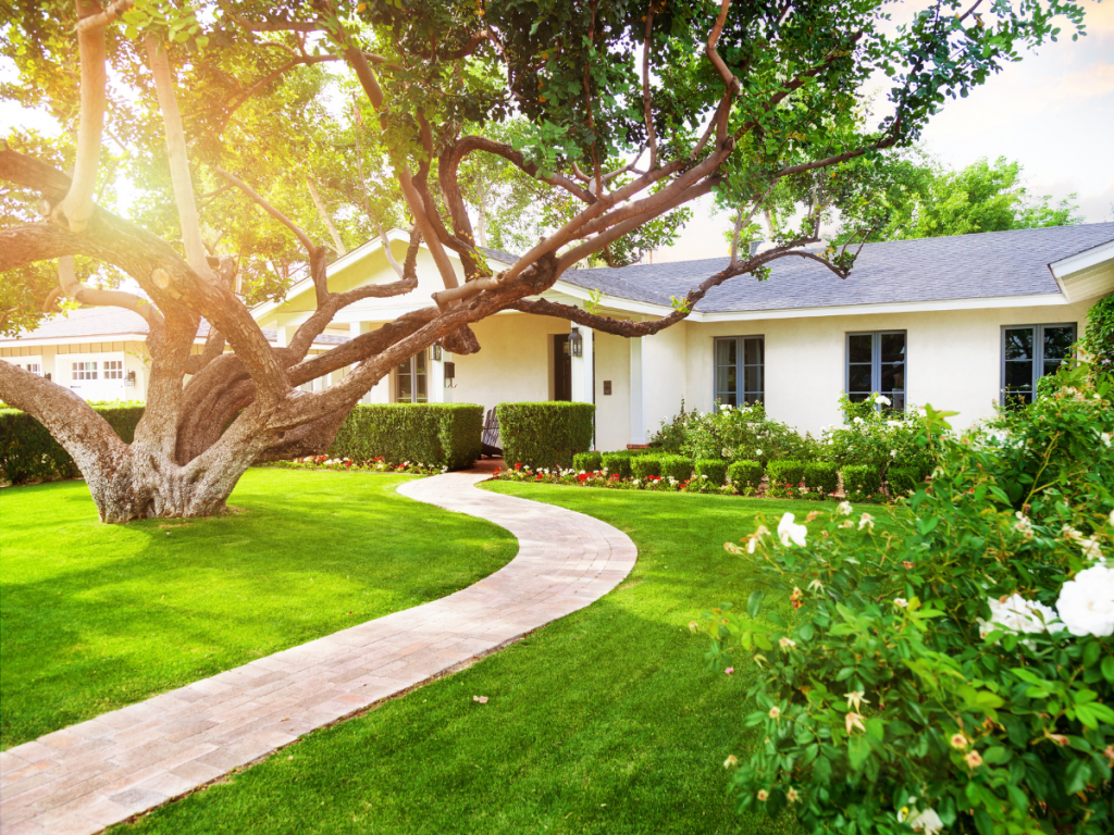Lawn Care: Picture of a manicured lawn and landscape