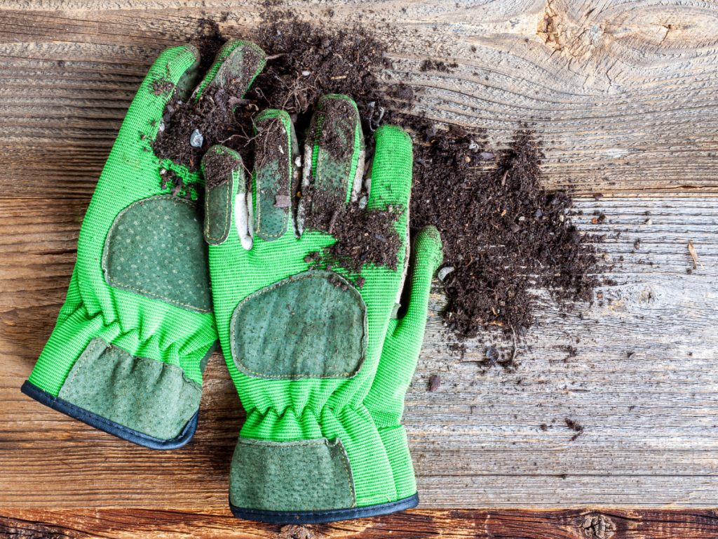 A picture of garden gloves