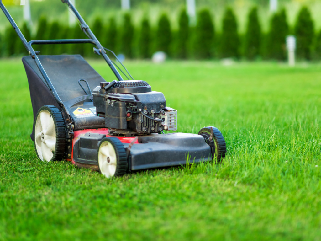A picture of a lawn mower