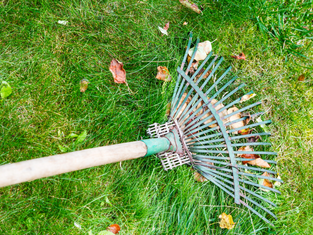 Lawn Care Tool: Rake