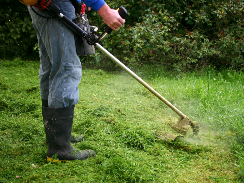 Lawn Care Tool: String Trimmer
