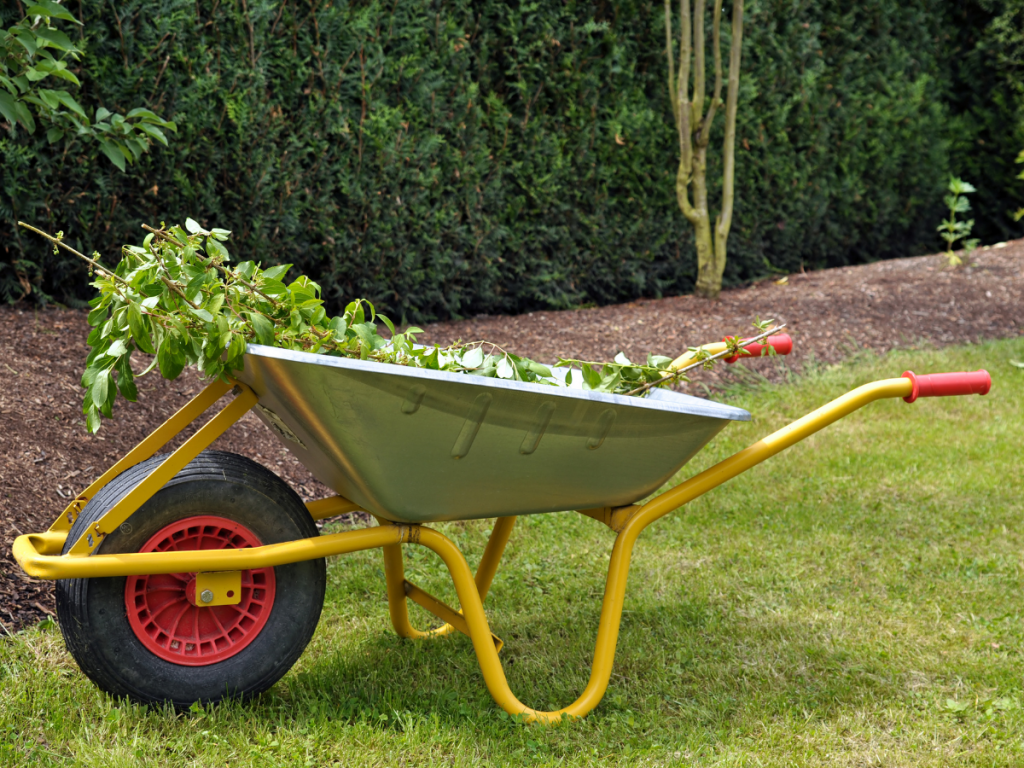 A picture of a wheelbarrow